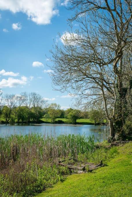 Long Range 2, Henham Park Nr Southwold Villa Бекълс Екстериор снимка