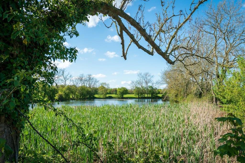 Long Range 2, Henham Park Nr Southwold Villa Бекълс Екстериор снимка